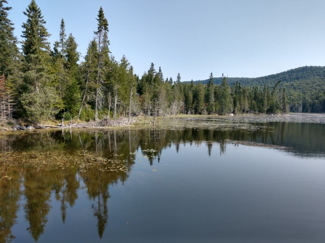 IMG_20180813_110248977_HDR.jpg